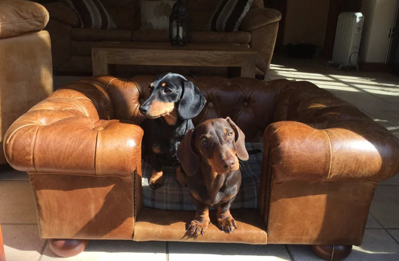 Luxury 'Balmoral' Dog bed - Natural Tan Real leather - Chesterfield style - handcrafted in the UK