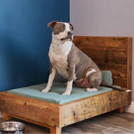 Dog bed frame